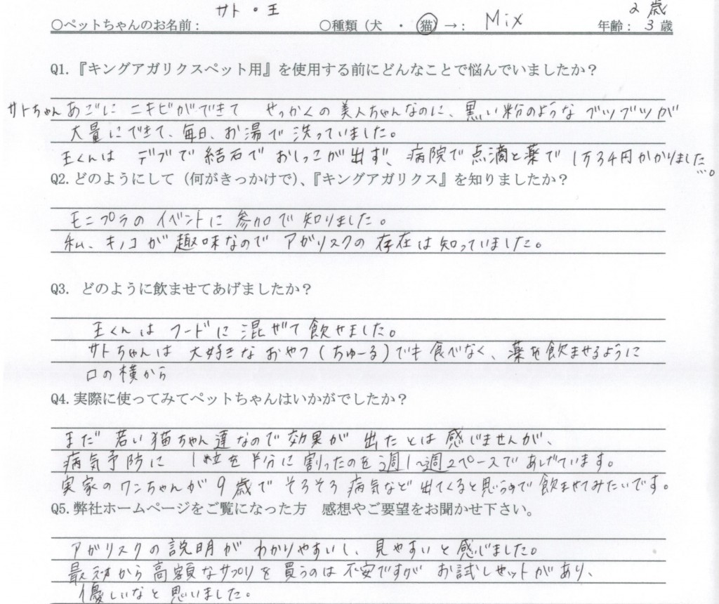 猫　ニキビ　結石